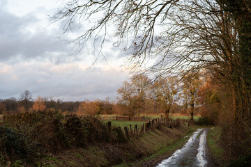 chemin de campagne des hauts de france