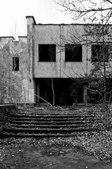 An abandoned structure with mossy stairs and bare trees around it.