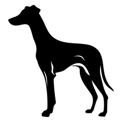 Fototapeta premium Standing Whippet Dog, Whippet Dog monochrome clip art. Vector illustration