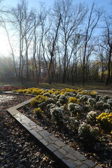 The park at Babi Yar on a sunny day. Kyiv, Ukraine - November 20, 2023.