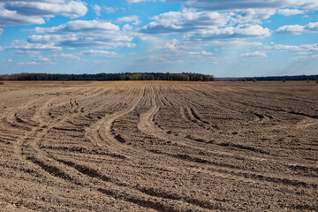 Brown soil in the foreground, horizon, and cloudy sky.