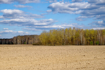 A barren field with a forest and cloudy sky in the background.