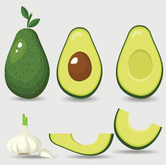 Set with avocado in different angles isolated on white. Sliced avocado. Garlic. Healthy vegan food. Raw food ingredients. Colorful cartoon vector illustration.