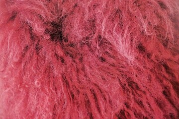 Rotes Lammfell als Hintergrund