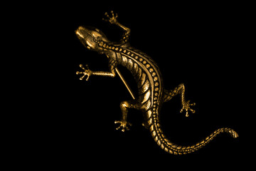 Lizard brooch on black - obrazy, fototapety, plakaty