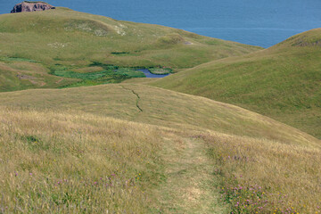 vue en hauteur sur une colline avec du gazon vert en bord de mer lors d'une journée d'été