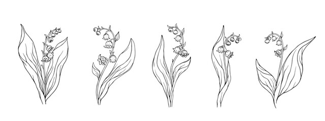 Set of linear sketches of spring flowers and lily of the valley buds.Vector graphics.