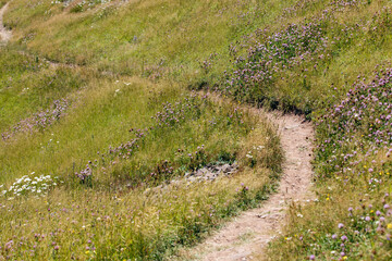 vue sur un chemin courbé dans une colline avec du gazon vert en été