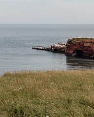 vue sur la côte avec une falaise de roche rouge recouverte de gazon verte d'été lors d'une journée grise