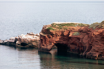 vue sur une falaise de roche rouge avec un segment recouvert de fiente d'oiseau en bord de mer lors d'une journée d'été