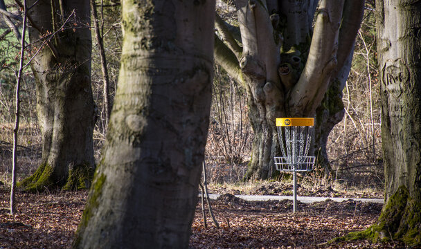 Discgolf-Basket
