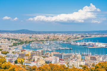 Palma de Mallorca aerial view reveals a vibrant cityscape, historic landmarks, and a bustling...