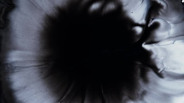 Abstract art come to life footage. Fluid motion of white and black, creating textured fractals in constant flux. The flowing effect of the liquid paint with pattern swirls.