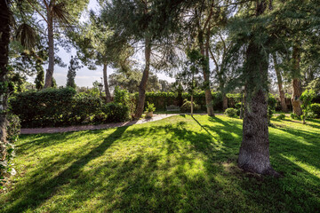 Fototapeta na wymiar Garden with a red brick path, grass and trees of all kinds