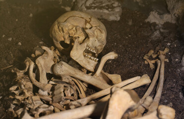 Fototapeta na wymiar Skull and bones digged from pit in the scary graveyard of prisoners after tortures