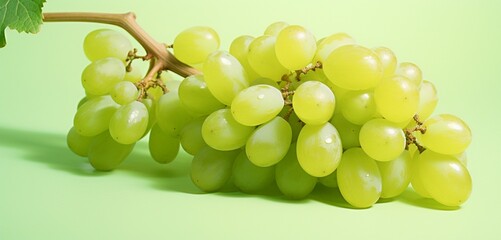 A bunch of fresh grapes, side-angle, realistic with Agfa Vista 400 film effect, on a light green...