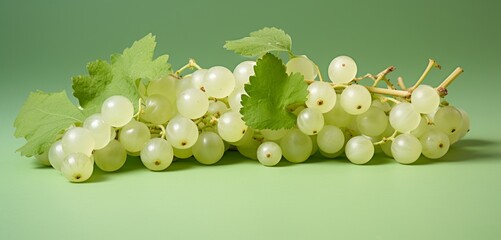 A cluster of white currants, side view, captured realistically with Agfa Vista 400 effect, on a...