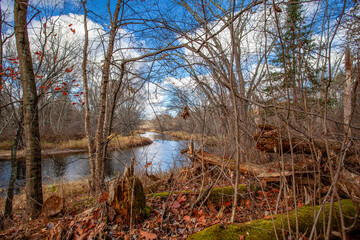 Rib River flowing through a Wisconsin forrest