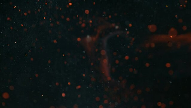 Super slow motion of dust particles flying, isolated on black background. Filmed on high speed camera, 1000 fps
