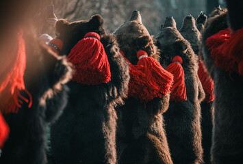 bear costumes worn for new years good luck dance in Romania