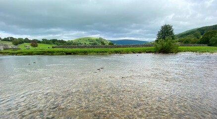 The River Wharfe, and ducks, as it flows through a Yorkshire Dales village, with fields and distant hills in, Burnsall, UK