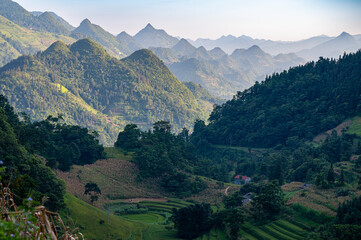 Vietnamese mountain landscape with mountains and rice fields