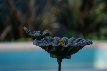 aves al natural © Juanif16