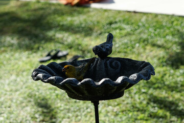 aves al natural © Juanif16