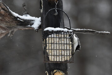 Victoriaville 31 D&eacute;cembre 2023