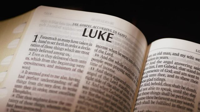The Bible-New Testament Saint Luke title page