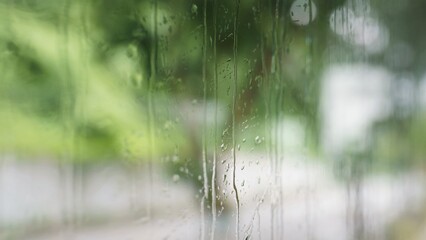 rain drops on the window of the rain