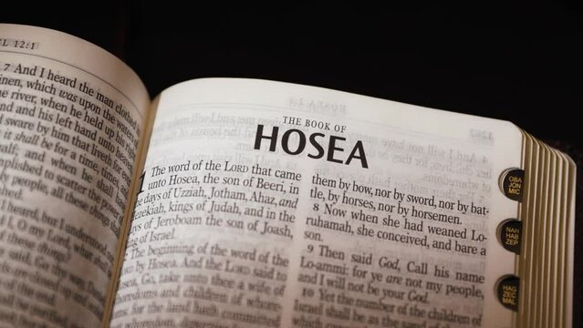 The Bible-The Old Testament Book of Hosea title