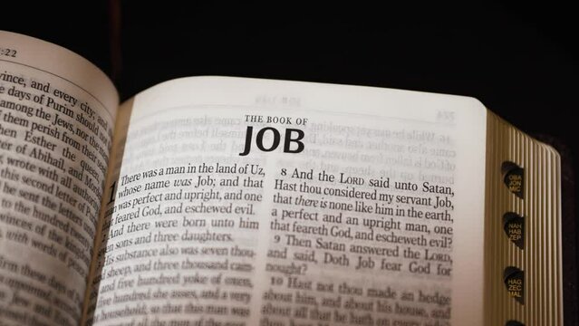 The Bible-The Old Testament Book of Job title