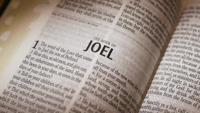 The Bible-The Old Testament Book of Joel title
