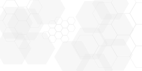 Seamless pattern with hexagon. White Hexagonal Background. Luxury honeycomb grid White Pattern. Vector Illustration. 3D Futuristic abstract honeycomb mosaic white background. geometric mesh cell text.