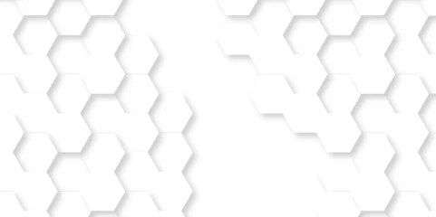 Foto op Canvas Seamless pattern with hexagonal white and gray technology line paper background. Hexagonal 3d vector grid tile and mosaic structure mess cell. white and gray hexagon honeycomb geometric copy space. © MdLothfor