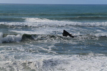 Fototapeta premium Impressions from the pacific coast