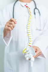 Doctor with human Spine anatomy model. Spinal Cord Disorder and disease, Back pain, Lumbar, Sacral...
