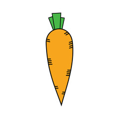 carrot vegetable icon over white background. colorful. vector illustration. Design element of healthy vegetables that are high in vitamin A. Introduction to vegetables for children