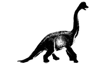 black dinosaur silhouette isolated on white background, model of dinosaurs toys © sutichak