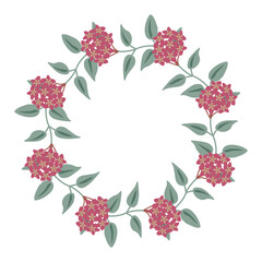 Red waxplant wreath - 701168335