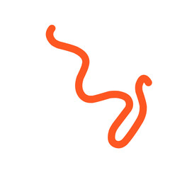 Fototapeta premium Hand Drawn Curly Line Vector 