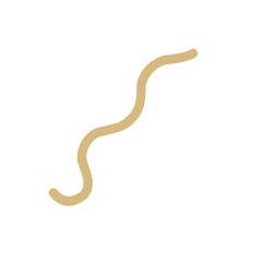 Hand Drawn Curly Line Vector 