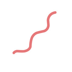 Hand Drawn Curly Line Vector 