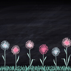chalk board background with chalk flowers