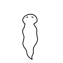 Planaria Flatworm Outline 