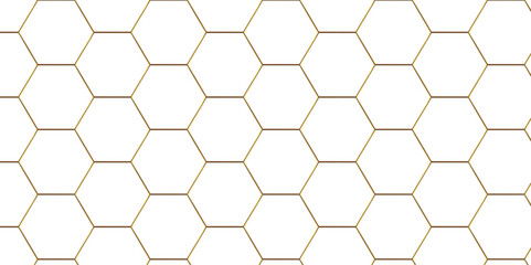 Fototapeta na wymiar Abstract background with lines. Modern simple style hexagonal graphic concept. Background with hexagons.