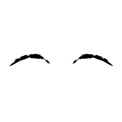 Eyebrow Brush Vector Illustration 