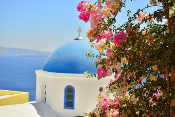 Greece blue roof with pink flower