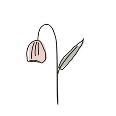 Flowers design illustration simple